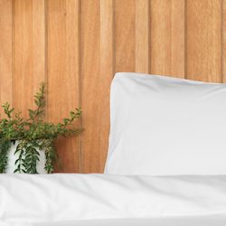 Egyptian Cotton Sheets Dna Tested: The Egyptian Hotel Sheet: Pillowcases