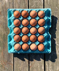Free Range Eggs: Free Range Jumbo Size 8
