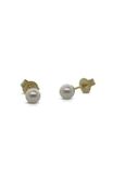 9ct yellow gold Akoya pearl studs - 5mm from Walker and Hall Jeweller - Walker & Hall