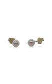 9ct yellow gold Akoya pearl studs - 6mm from Walker and Hall Jeweller - Walker & Hall