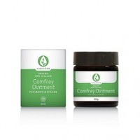 Health supplement: Kiwiherb Comfrey Ointment 30g Kiwiherb