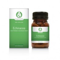 Health supplement: Kiwiherb High Potency Echinacea 60 caps Kiwiherb