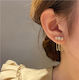 Zircon Tassel Earrings