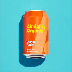Soft drink wholesaling: Orange & Apple 24 x 330ml