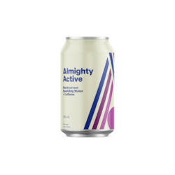 Active Blackcurrant Sparkling Water 24 x 330ml