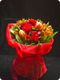 Steady reddy - amaryllis for flowers