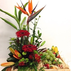 Arrangement with fruit - amaryllis for flowers