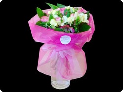 Pink and white delight - amaryllis for flowers