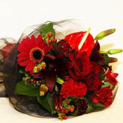 Romantic red bouquet - amaryllis for flowers
