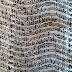 Leather good: Music Printed Fabric