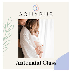 Birth Wise Antenatal Classes: August / Sept 2023