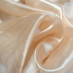 Event, recreational or promotional, management: Organza Fabric (Hire only)