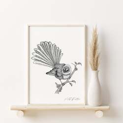 New Zealand Collection: Fantail Illustration