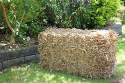 Pea Straw Bale - Garden Mulch