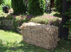 All: Whangarei Residents - Pea Straw Bale Incl Delivery