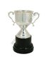 Challenge silver cup 29cm