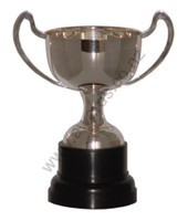 Champagne silver cup 34cm