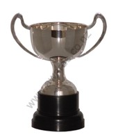 Champagne silver cup 28cm