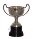 Champagne silver cup 28cm