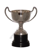 Champagne silver cup 25cm