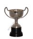 Champagne silver cup 21cm
