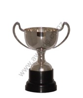 Champagne silver cup 19cm