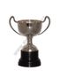 Champagne silver cup 19cm