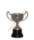 Champagne silver cup 17cm