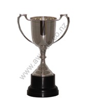 Silverware: Silver sports cup 29cm