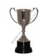 Silver sports cup 29cm