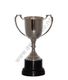 Silver sports cup 24cm