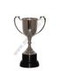 Silver sports cup 21cm
