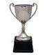 Nickel plated classic cup 32.5cm