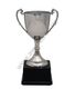 Nickel plated classic cup 30cm