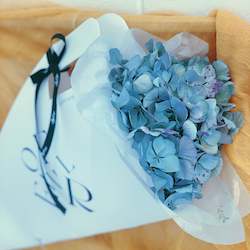 Dried Hydrangea in Carry Bag (Seasonal Limited Edition)