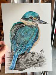 Originals For Sale: ORIGINAL Resting Kingfisher Drawing