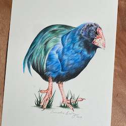 Originals For Sale: SALE - Takahe ORIGINAL Colour Pencil Drawing