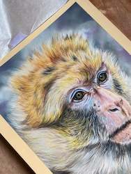 Originals For Sale: ORIGINAL Monkey Portrait in Pastels