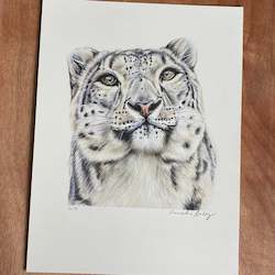 Originals For Sale: ORIGINAL Snow Leopard Drawing