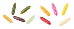 Sporting equipment: Trout Collector Larva Assortments