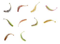 Sporting equipment: Scented Soft Bait Worms