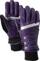 Clothing accessory: Burton Leather Pipe Glove Womens 2010