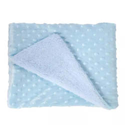 Toy: Blue Minky Blanket