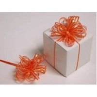 Event, recreational or promotional, management: Ribbon Bow-Orange-36/order