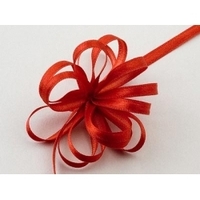 Event, recreational or promotional, management: Ribbon - Pull Bow Satin