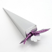 Event, recreational or promotional, management: Cone - Silver Silk