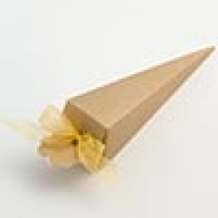 Event, recreational or promotional, management: Cone - Gold Silk