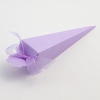 Event, recreational or promotional, management: Cone - Lilac Silk