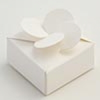 Petal top favour box - White