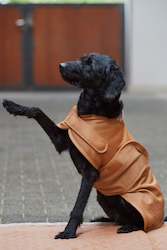 Clothing: Dog Coat Softshell Platinum 23